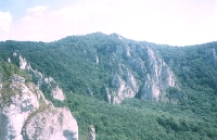 Kalkfelsen von Sulov